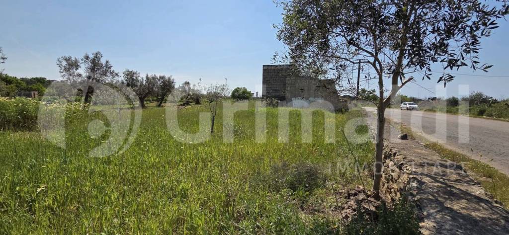 immagine annuncio 1 di 4