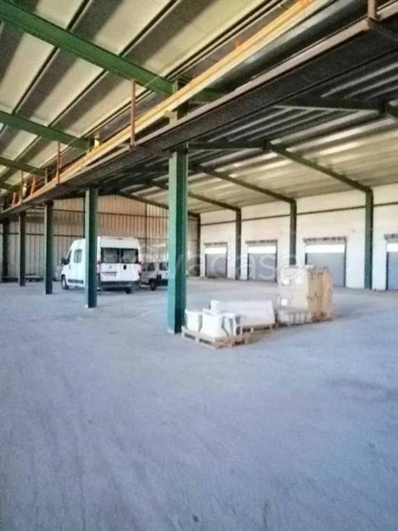 immagine annuncio 2 di 9