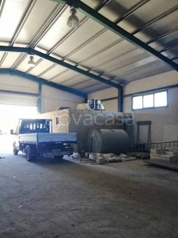 immagine annuncio 6 di 9