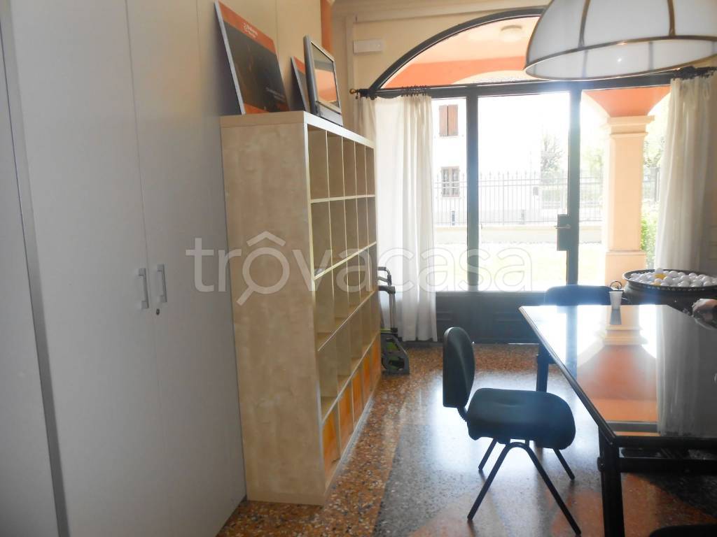 immagine annuncio 11 di 14