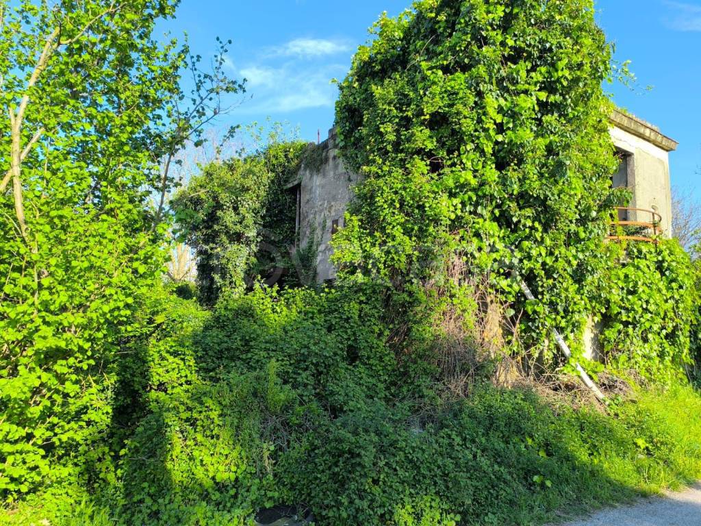 immagine annuncio 2 di 11