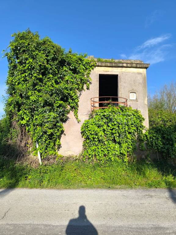 immagine annuncio 4 di 11