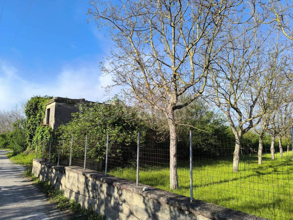 immagine annuncio 5 di 11