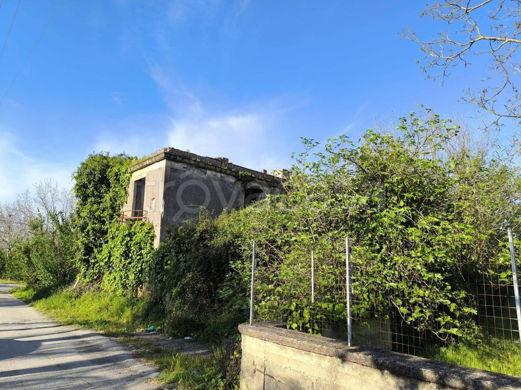 immagine annuncio 6 di 11