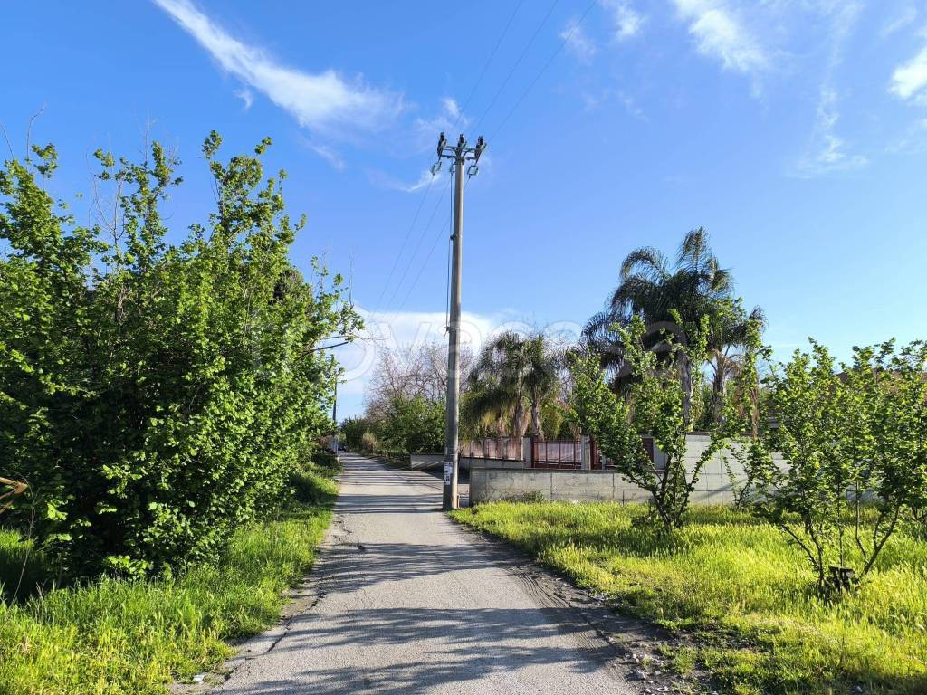 immagine annuncio 7 di 11