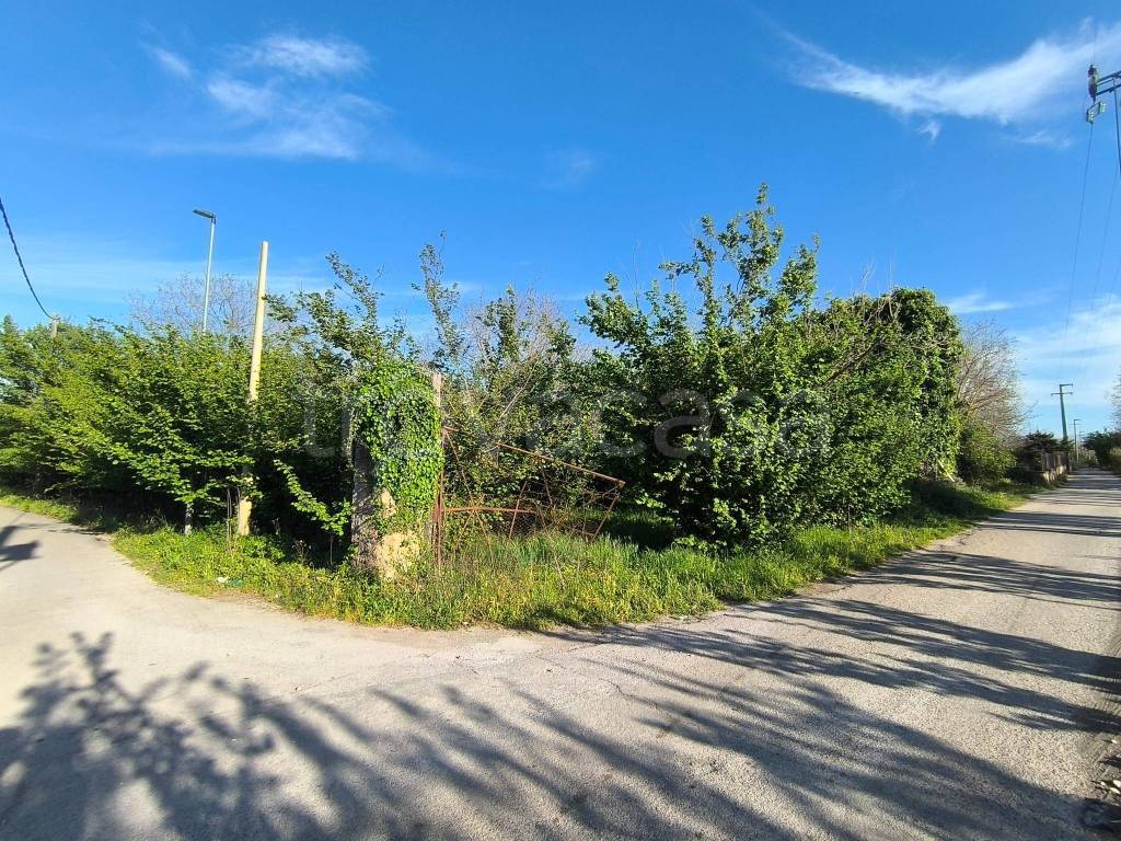 immagine annuncio 8 di 11