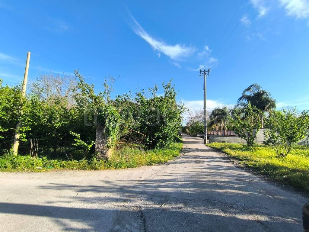 immagine annuncio 9 di 11