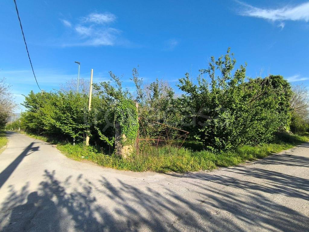 immagine annuncio 10 di 11