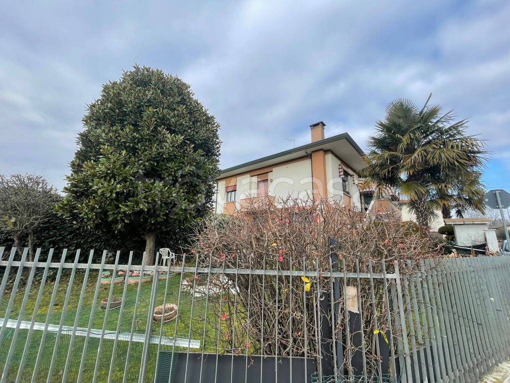 immagine annuncio 2 di 11