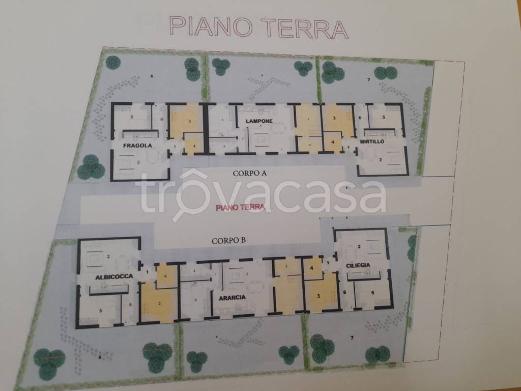 immagine annuncio 3 di 6