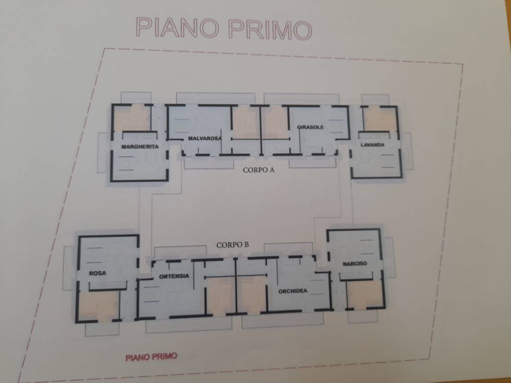 immagine annuncio 4 di 6