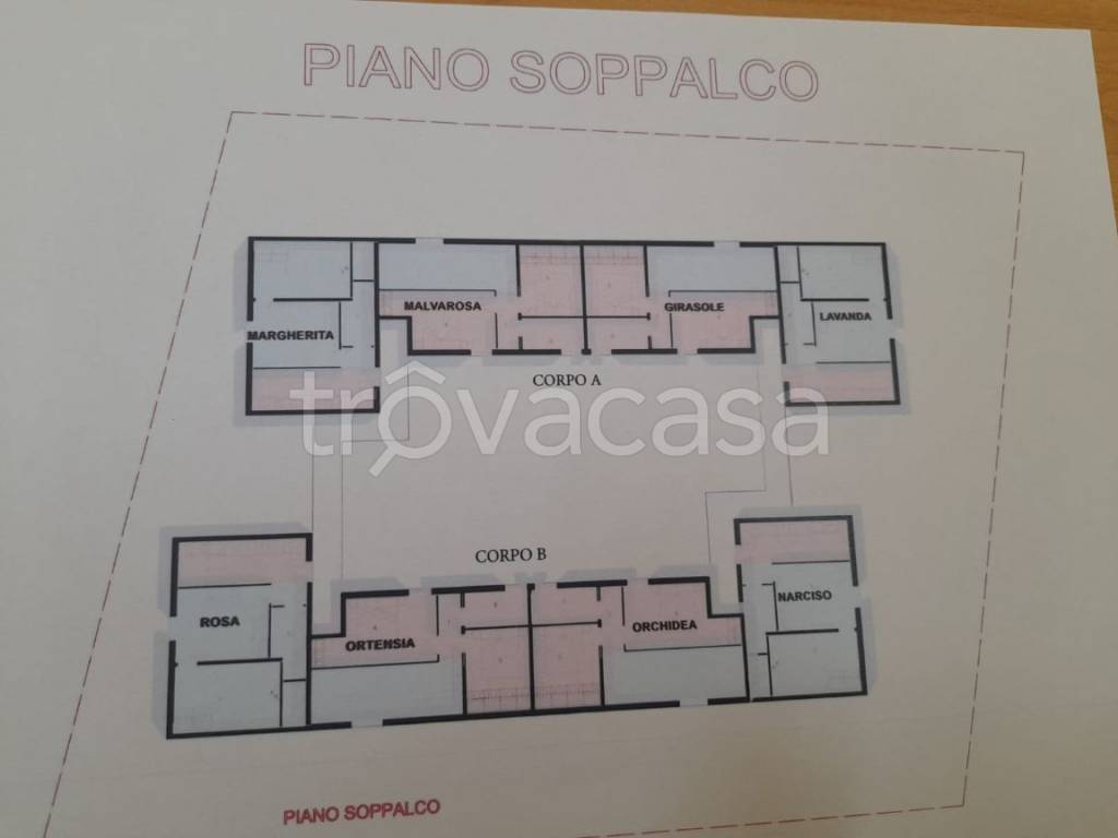 immagine annuncio 5 di 6