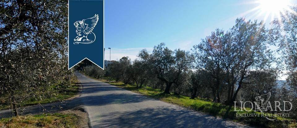 immagine annuncio 4 di 13