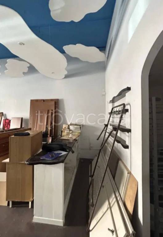 immagine annuncio 9 di 14