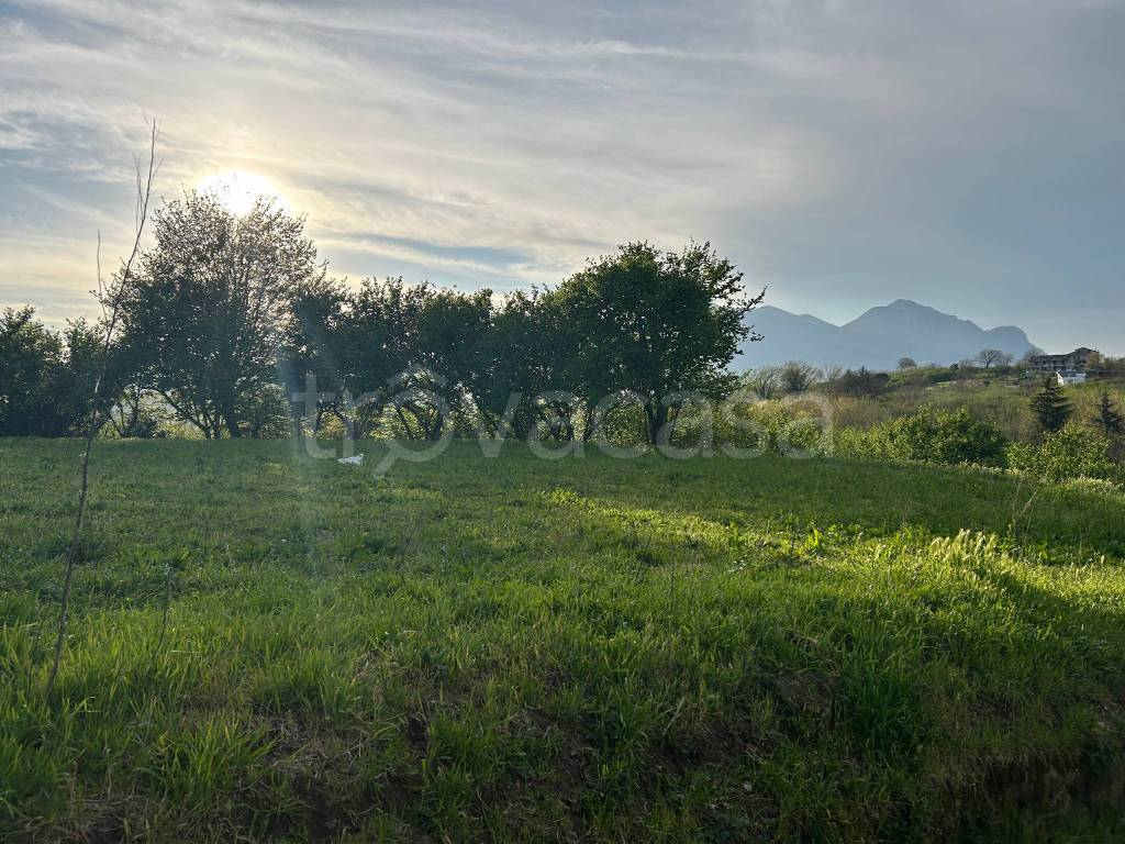 immagine annuncio 4 di 9