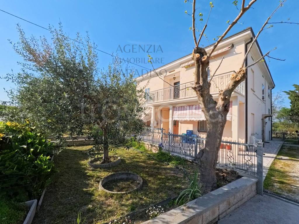 immagine annuncio 3 di 15