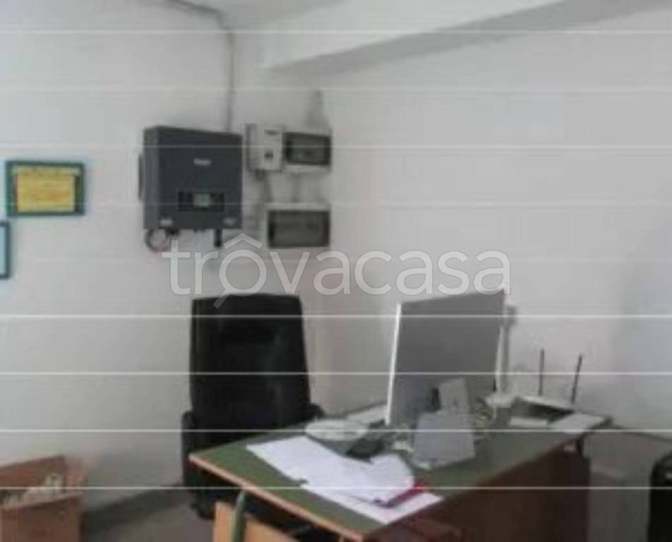 immagine annuncio 5 di 13