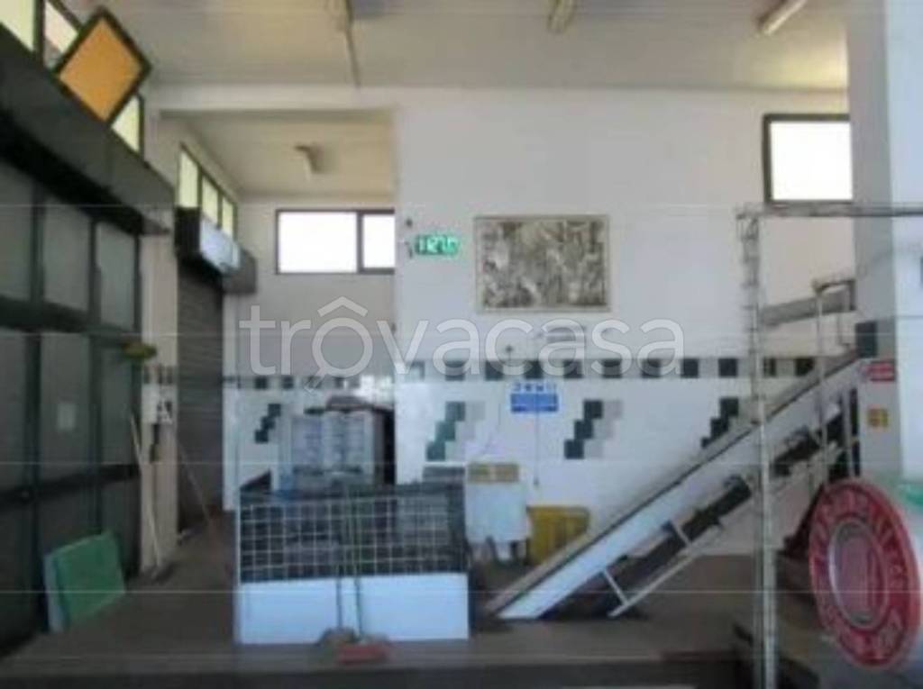 immagine annuncio 7 di 13