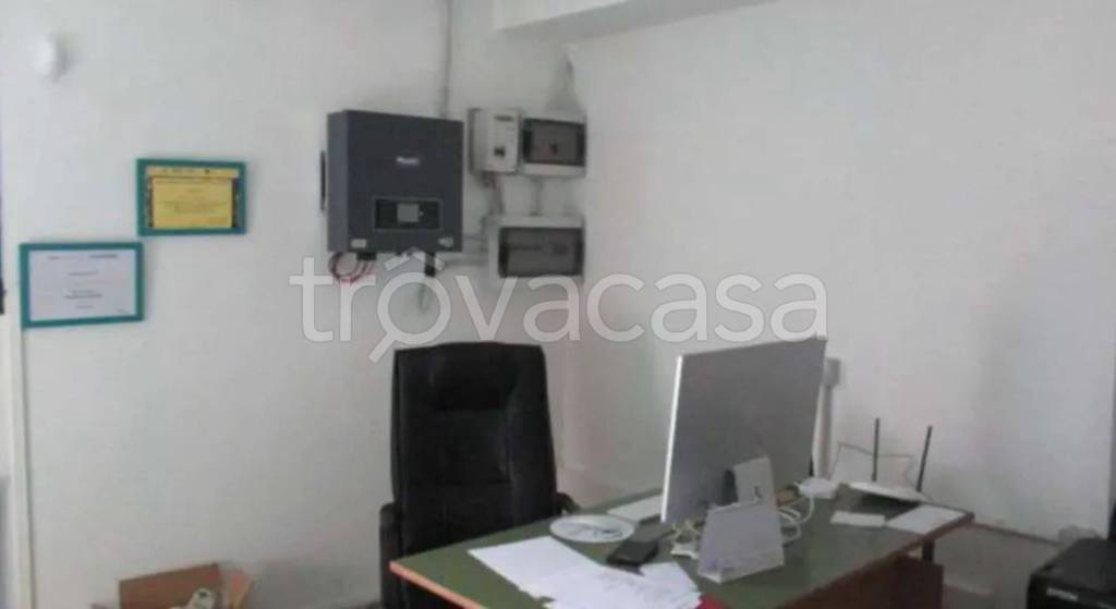 immagine annuncio 10 di 13