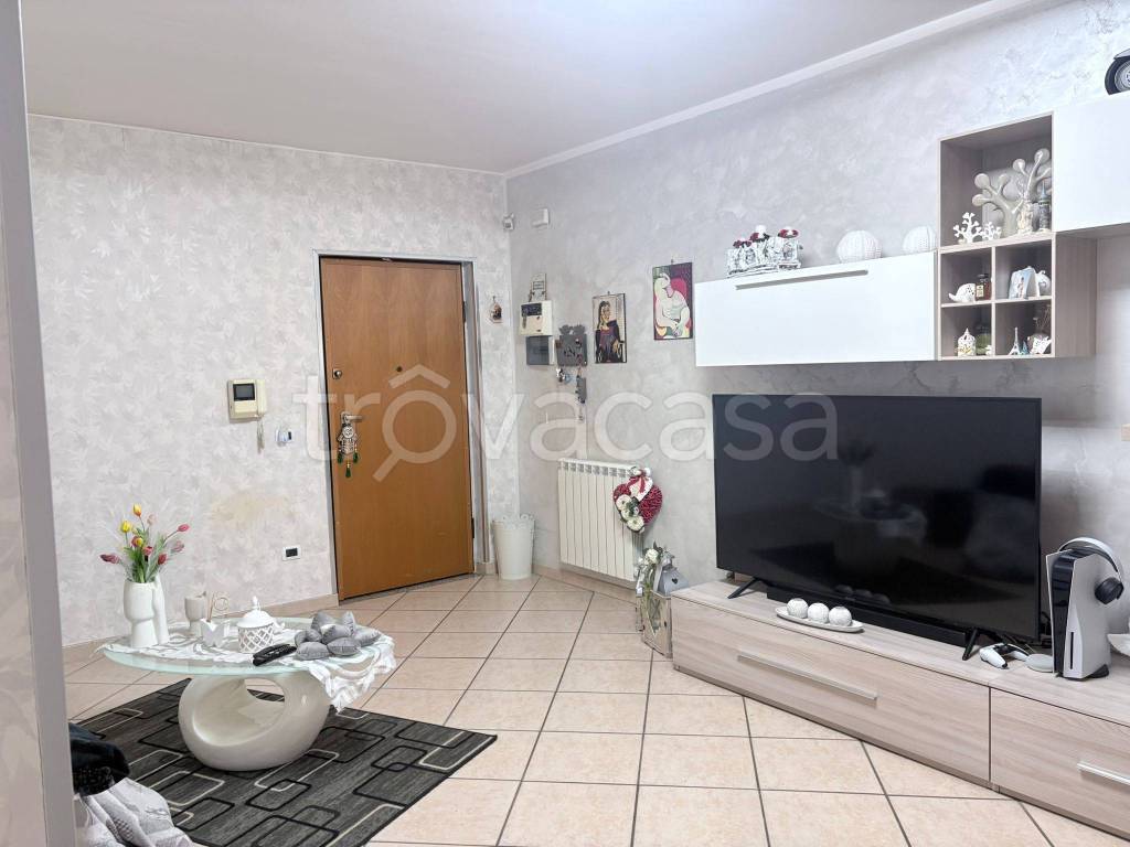 immagine annuncio 9 di 13