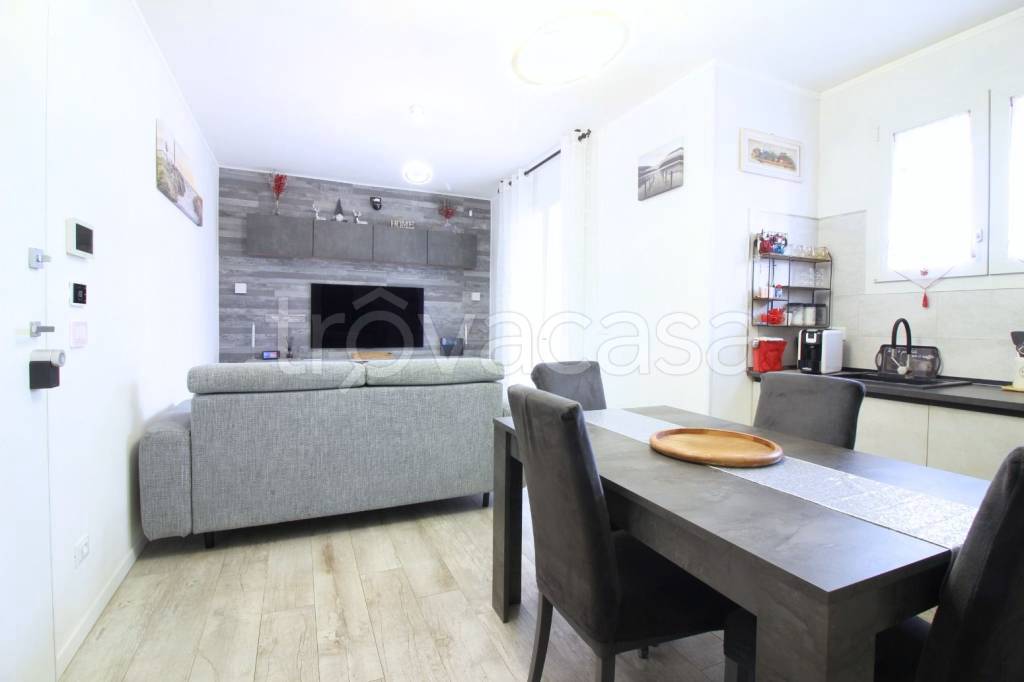 immagine annuncio 2 di 12