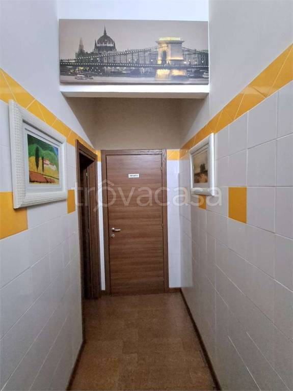 immagine annuncio 11 di 14