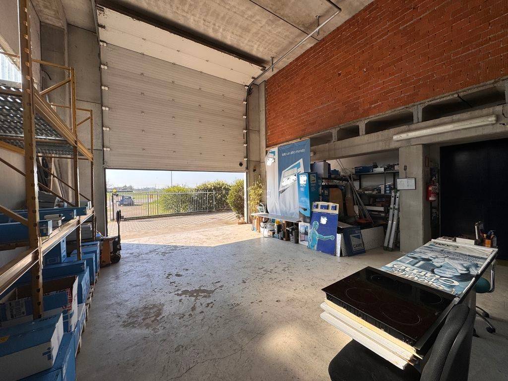 immagine annuncio 10 di 15