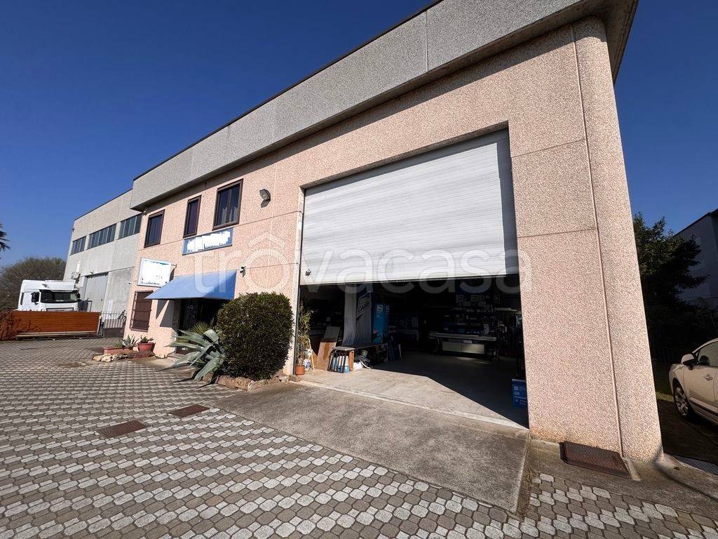 immagine annuncio 11 di 15