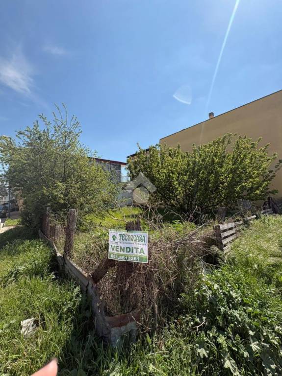 immagine annuncio 11 di 15