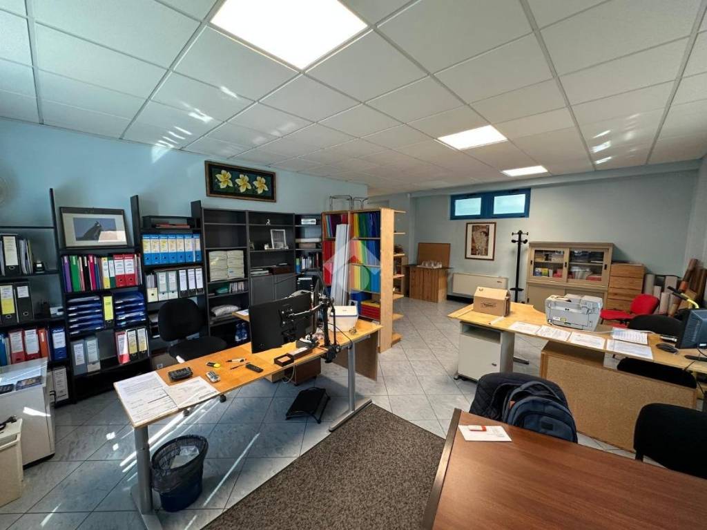 immagine annuncio 11 di 15