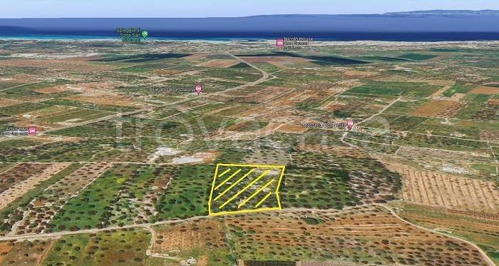 immagine annuncio 3 di 9