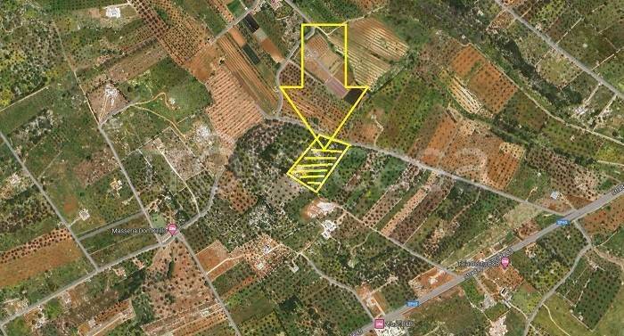 immagine annuncio 7 di 9