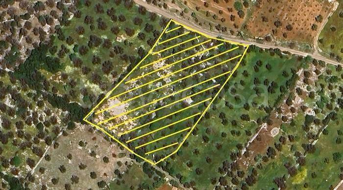 immagine annuncio 8 di 9