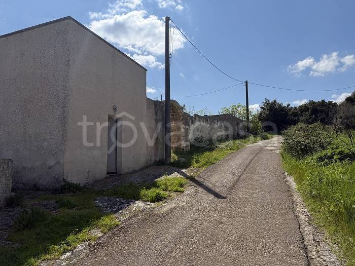 immagine annuncio 2 di 6