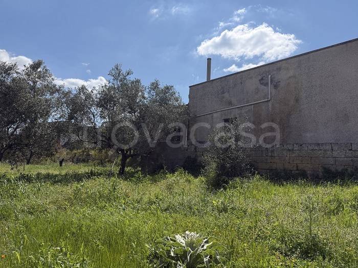 immagine annuncio 4 di 6