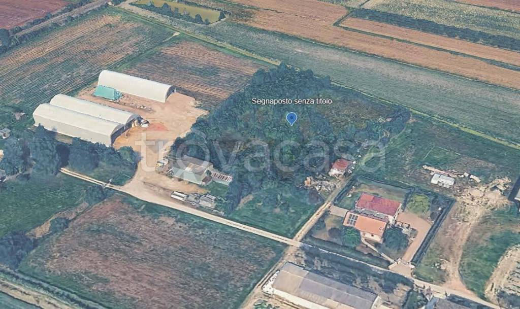 immagine annuncio 2 di 13