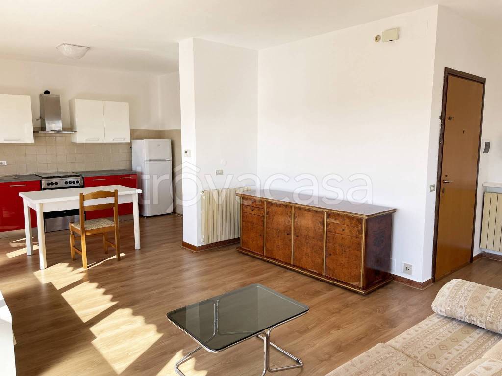 immagine annuncio 3 di 14