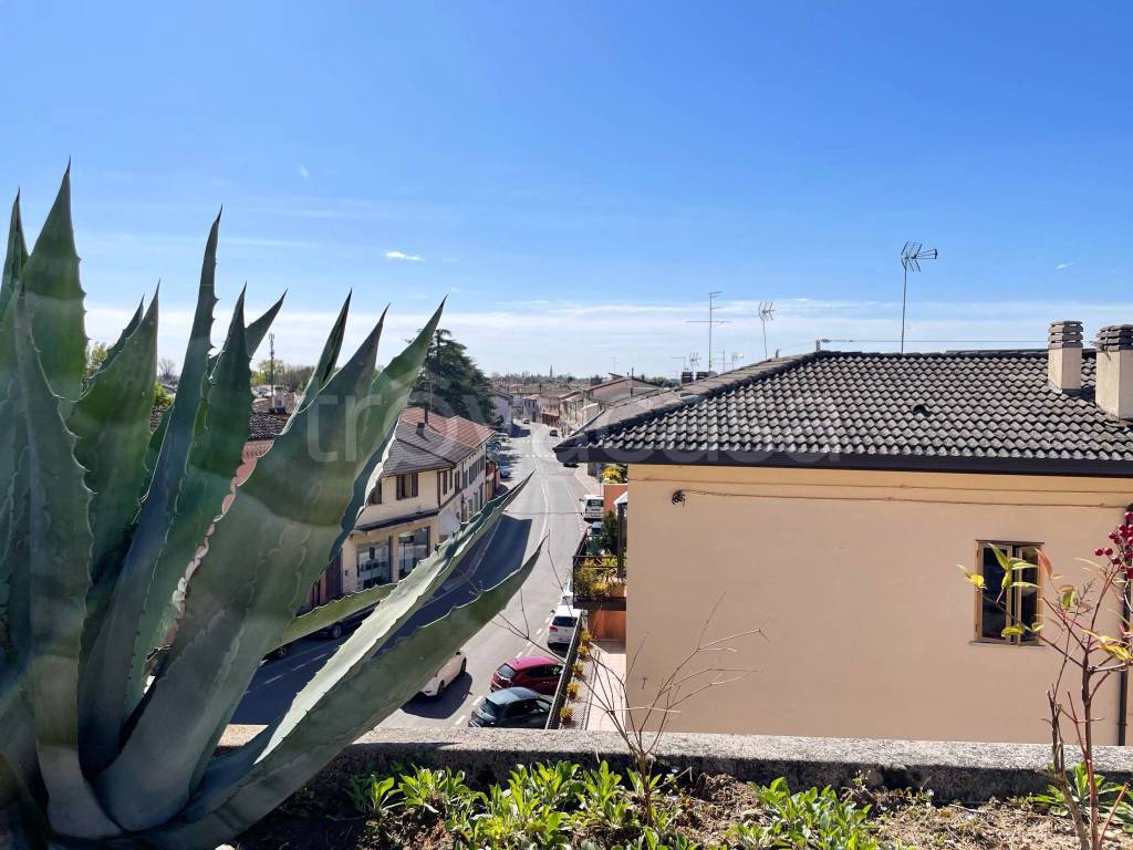 immagine annuncio 6 di 14