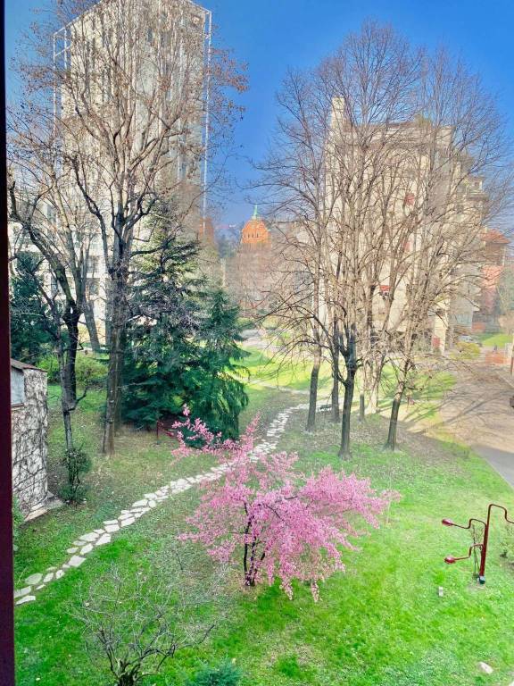 immagine annuncio 6 di 15