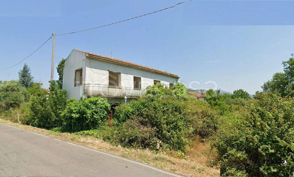 immagine annuncio 2 di 4