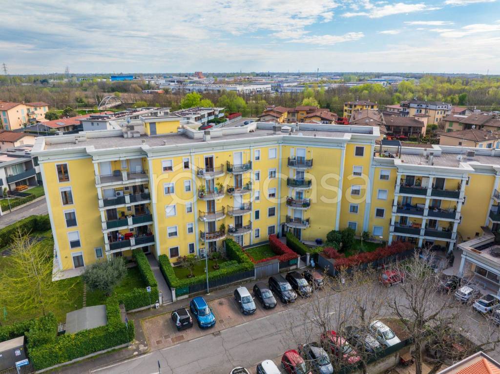 immagine annuncio 9 di 15