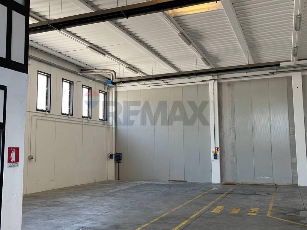 immagine annuncio 1 di 8