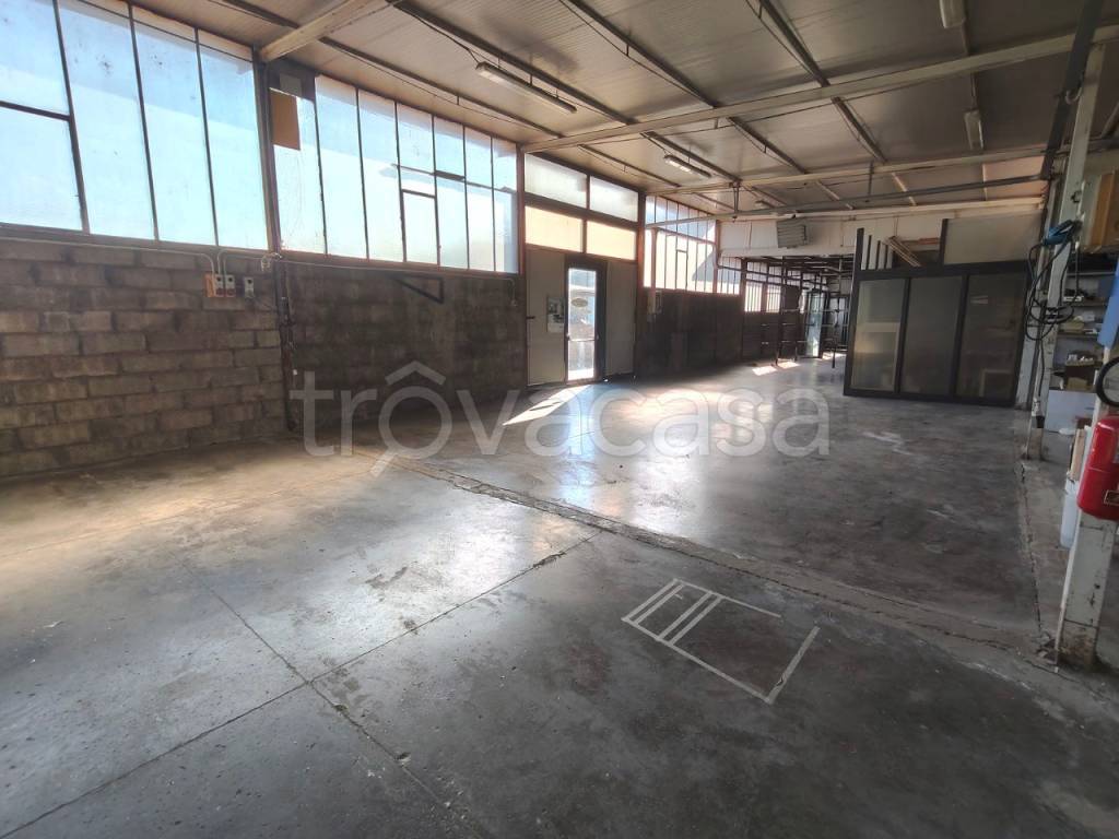 immagine annuncio 1 di 14