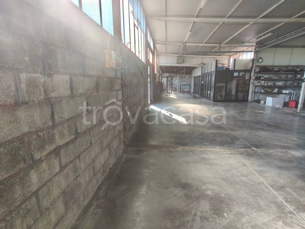 immagine annuncio 2 di 14