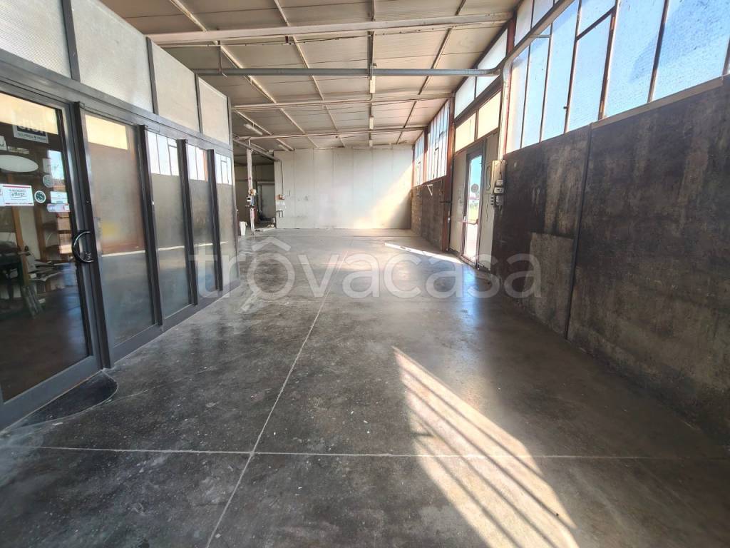 immagine annuncio 3 di 14