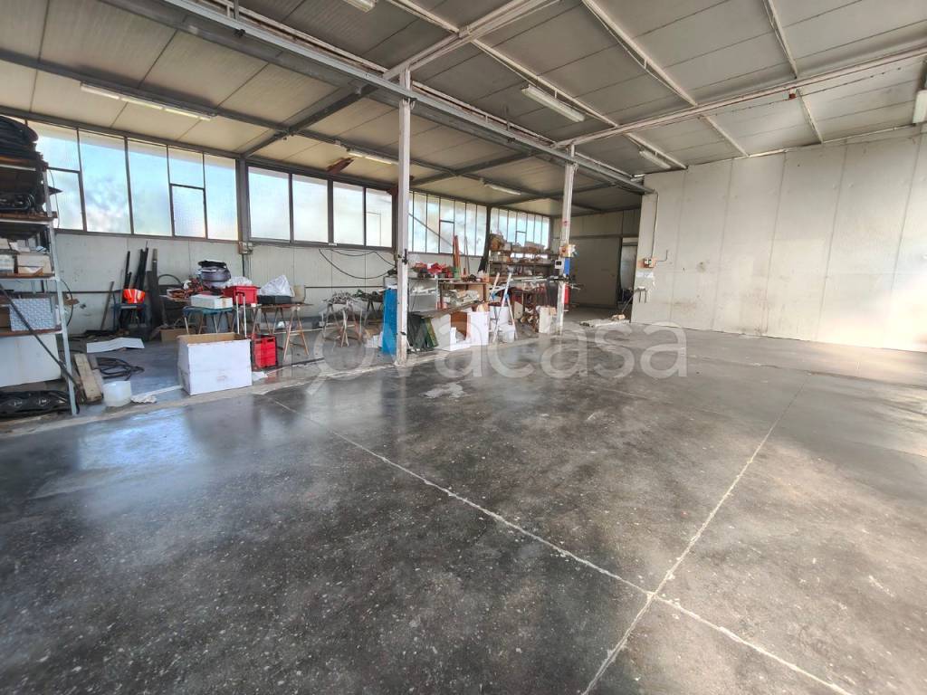 immagine annuncio 4 di 14