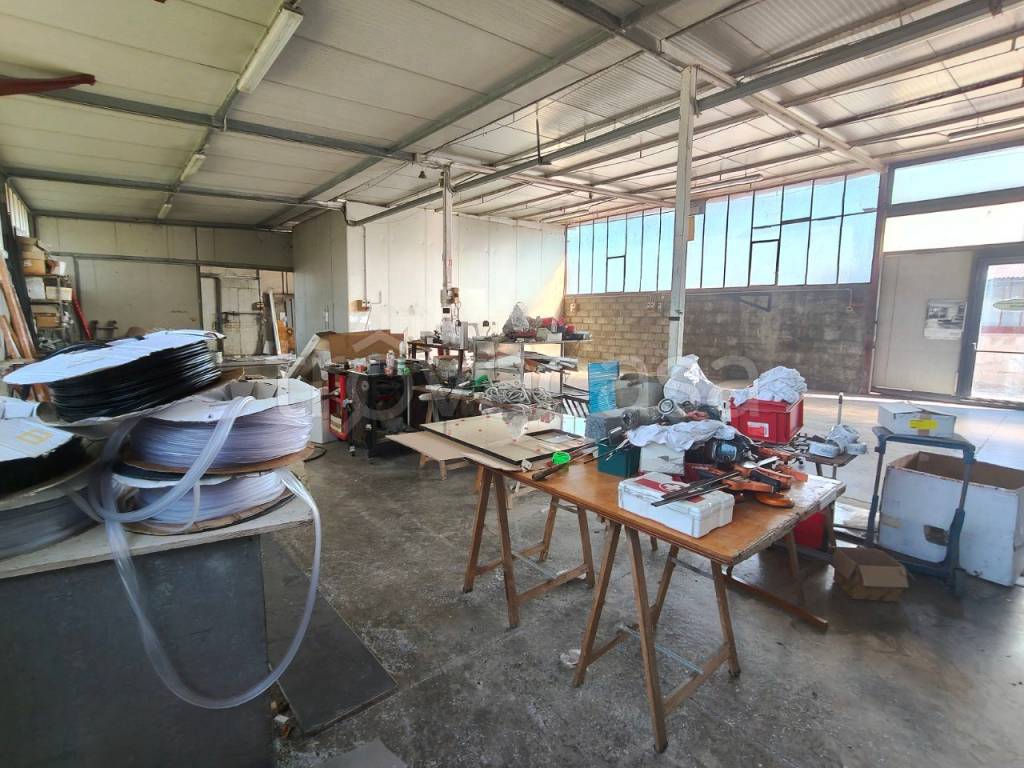 immagine annuncio 5 di 14