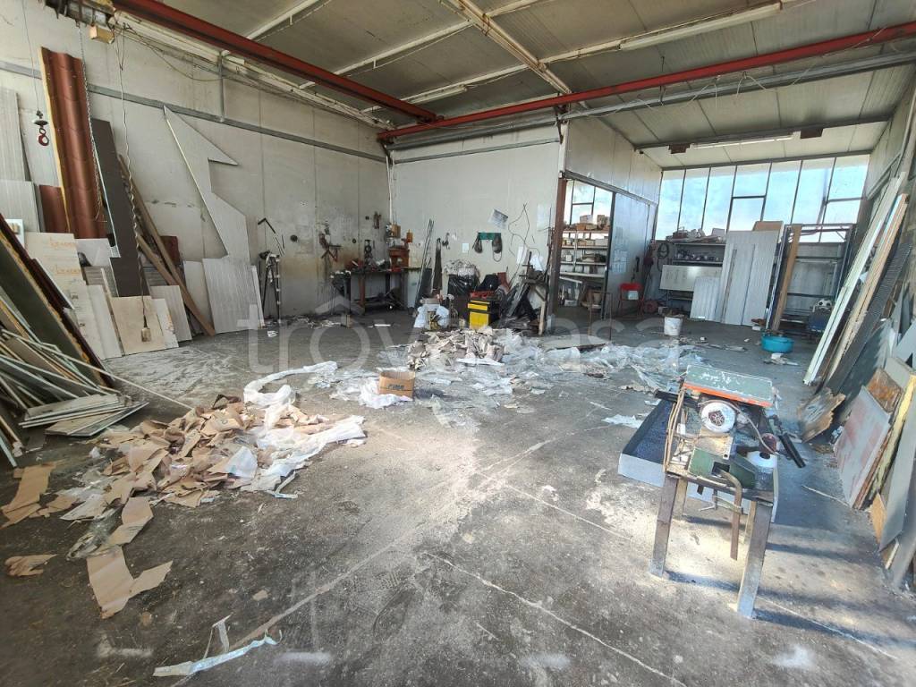 immagine annuncio 6 di 14