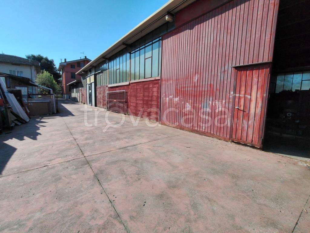 immagine annuncio 10 di 14