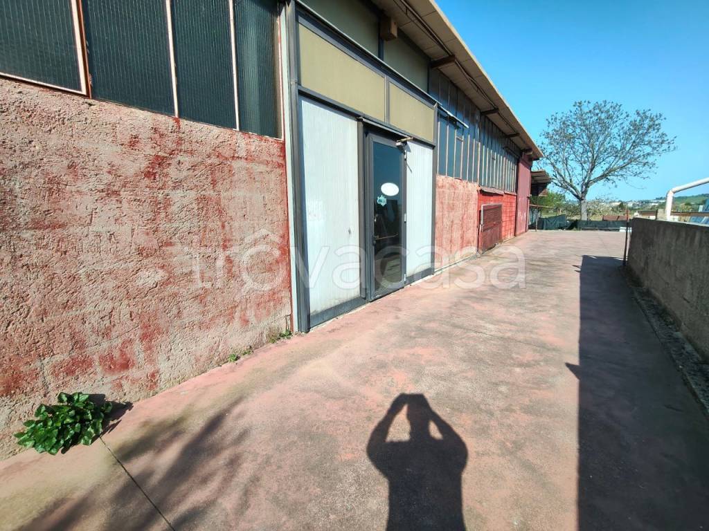 immagine annuncio 12 di 14